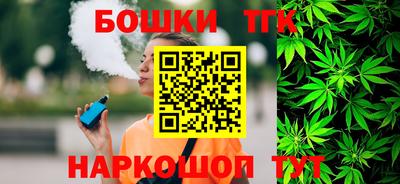 индика Можайск