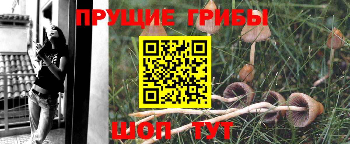 Галлюциногенные грибы мицелий  Вход с VPN  Борзя 